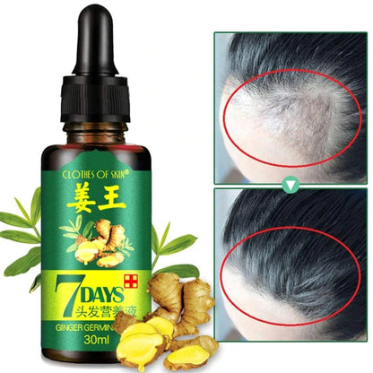 7 day ginger germinal oil box packaging price in pakistan